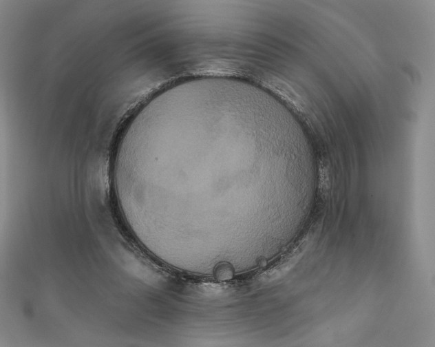 X0000111830302200907231322