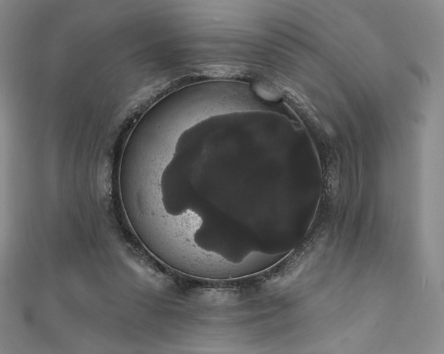 X0000111830303200907231322