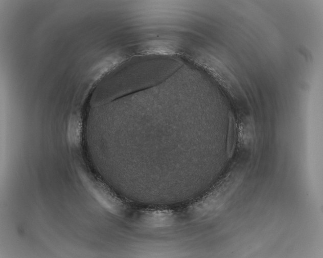 X0000111830304200907231322