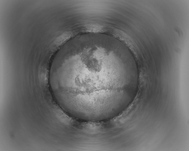 X0000111830305200907231322