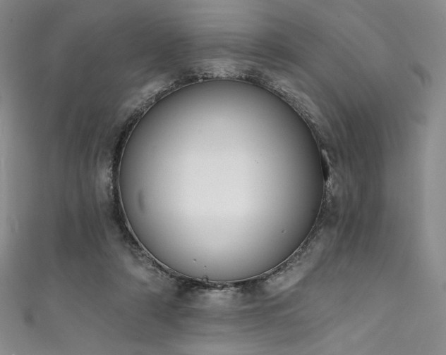 X0000111830306200907231322