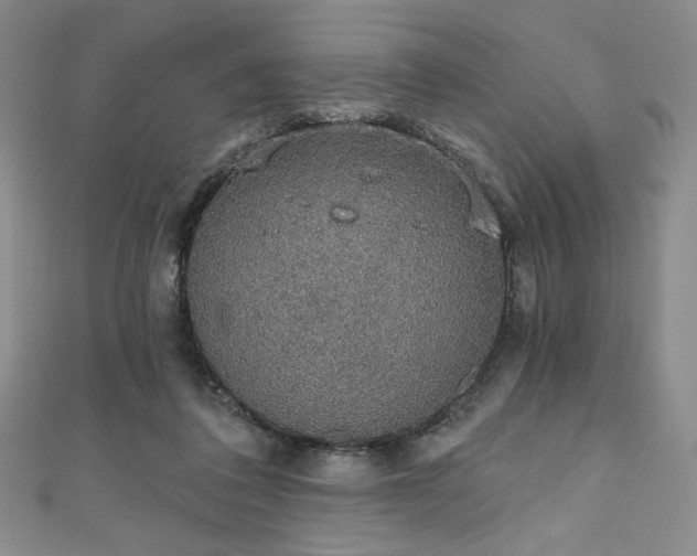 X0000111830308200907231322