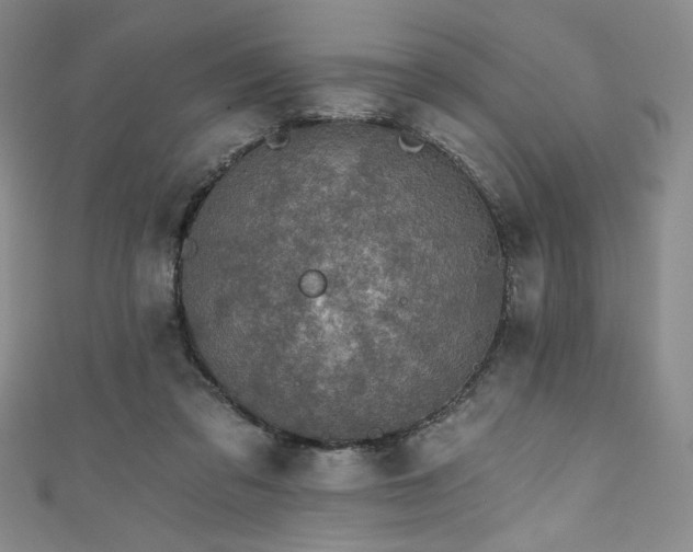 X0000111830309200907231322
