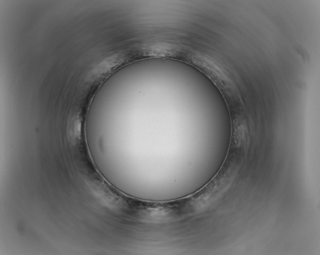 X0000111830310200907231322