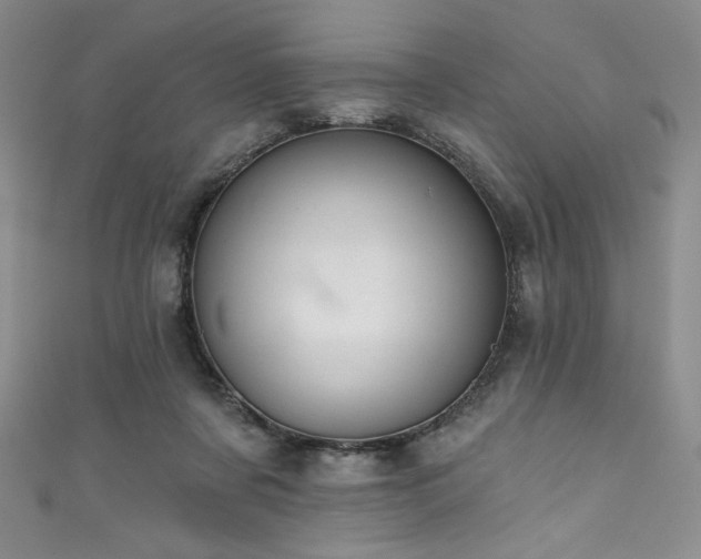 X0000111830311200907231322