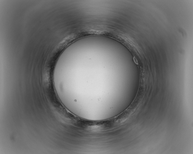 X0000111830312200907231322