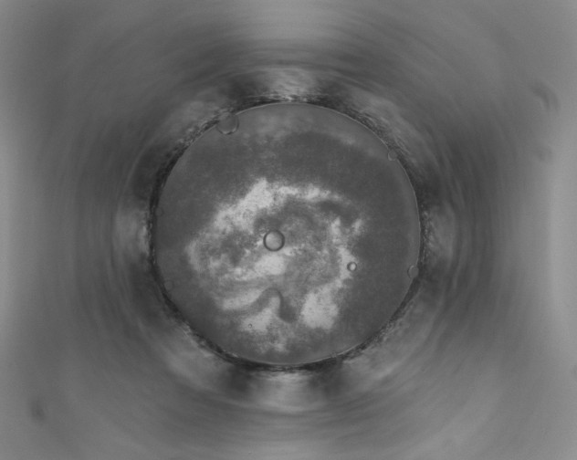 X0000111830313200907231322