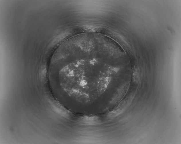 X0000111830314200907231322