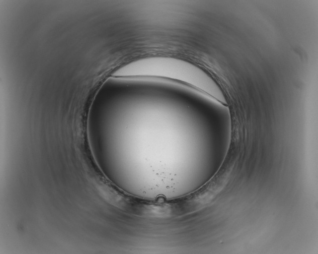 X0000111830317200907231322