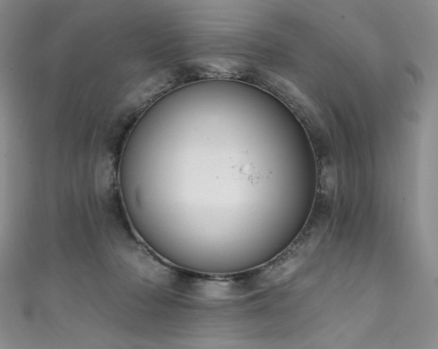 X0000111830318200907231322