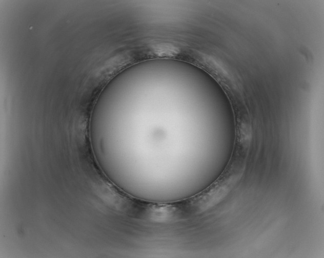 X0000111830321200907231322