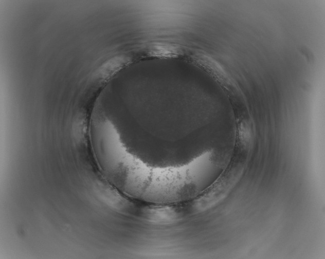 X0000111830322200907231322