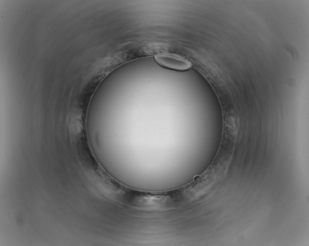 X0000111830323200907231322