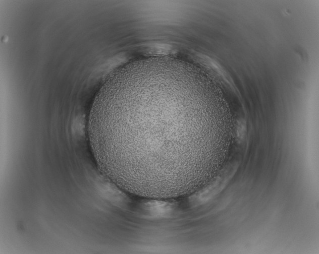 X0000111830326200907231322