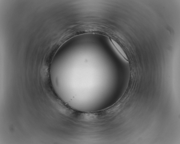 X0000111830327200907231322
