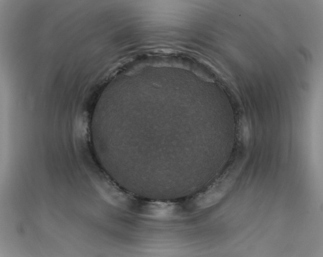 X0000111830328200907231322