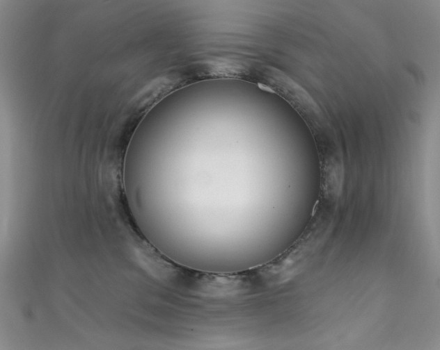 X0000111830329200907231322