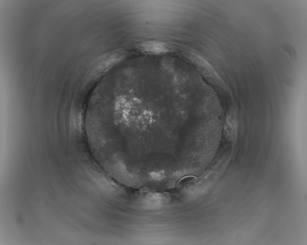 X0000111830330200907231322