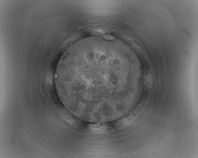 X0000111830331200907231322