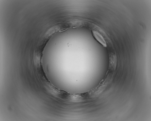 X0000111830333200907231322