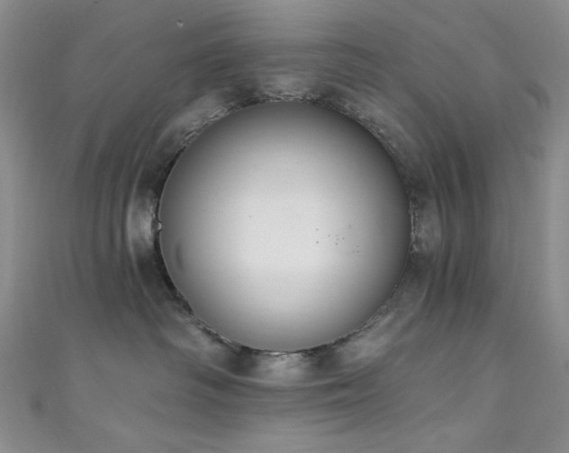 X0000111830334200907231322
