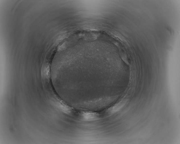 X0000111830336200907231322