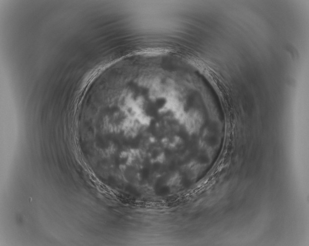 X0000111830337200907231321
