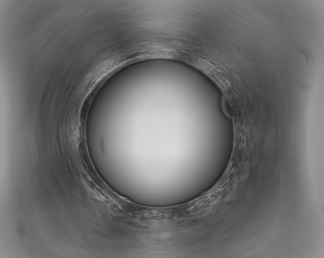 X0000111830338200907231321