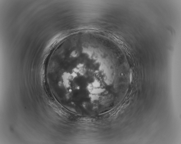 X0000111830339200907231321