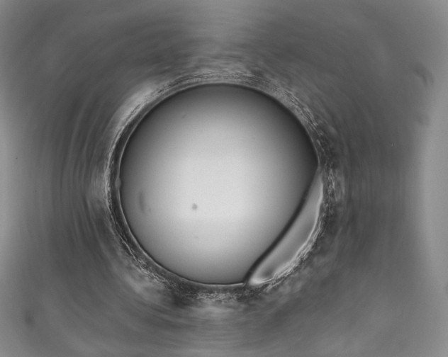 X0000111830340200907231321