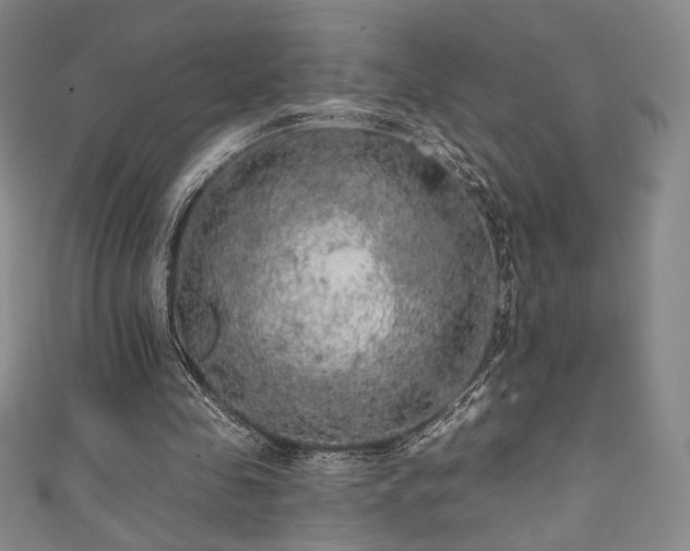 X0000111830341200907231321