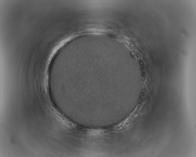 X0000111830342200907231321