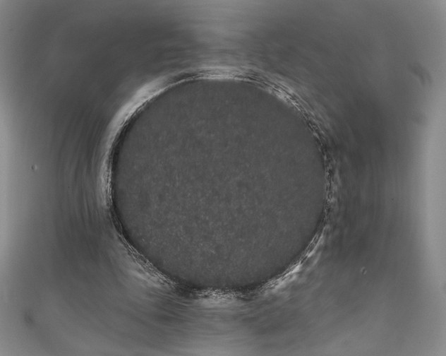 X0000111830343200907231321