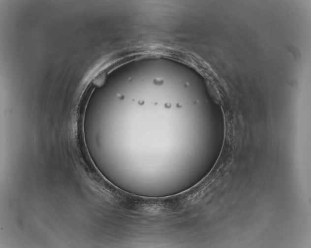 X0000111830344200907231321