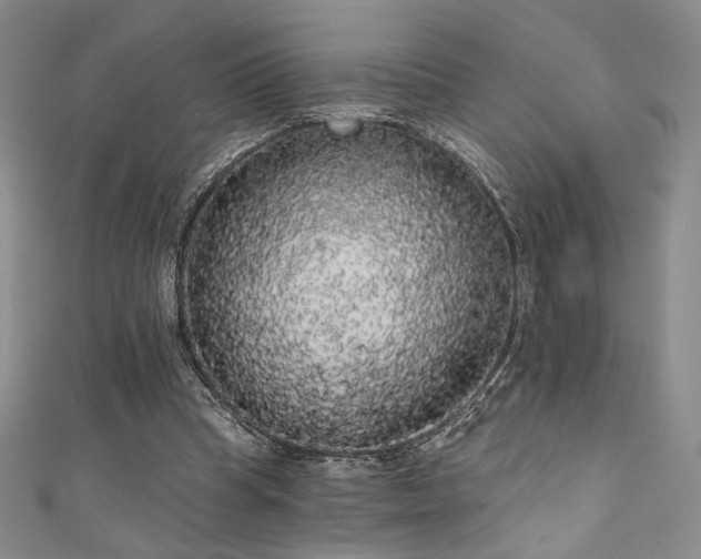 X0000111830345200907231321