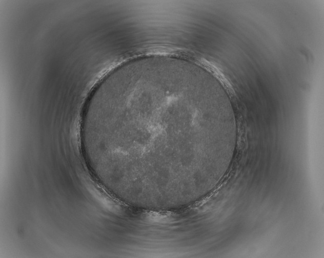 X0000111830346200907231321