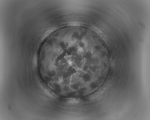 X0000111830347200907231321