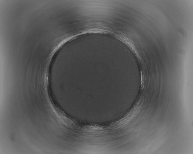 X0000111830348200907231321