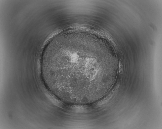 X0000111830349200907231321