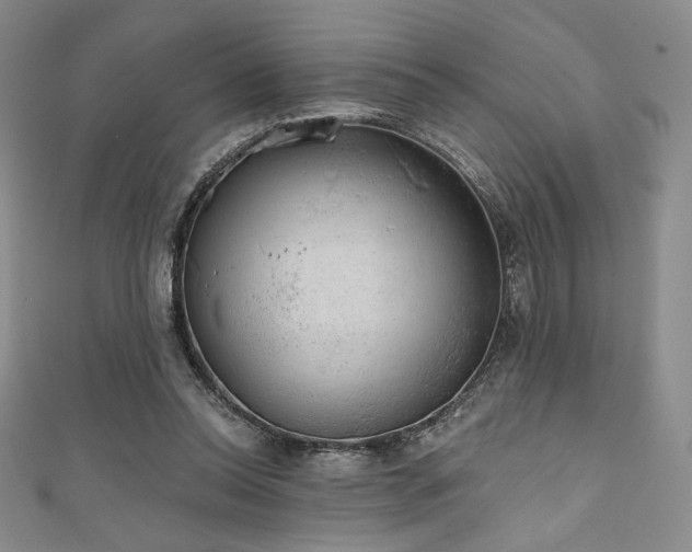 X0000111830350200907231321