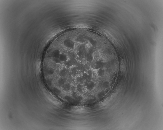 X0000111830351200907231321