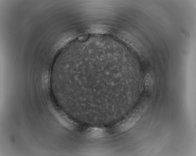 X0000111830352200907231321