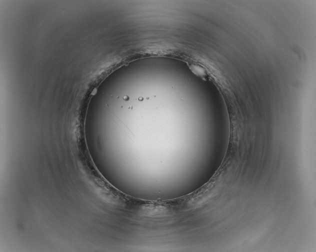 X0000111830354200907231321