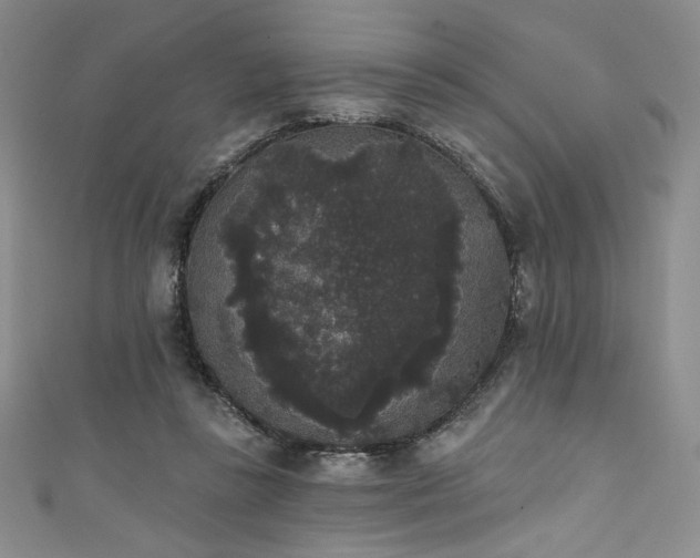 X0000111830355200907231321