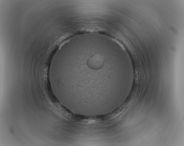 X0000111830356200907231321