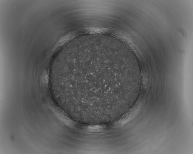 X0000111830357200907231321