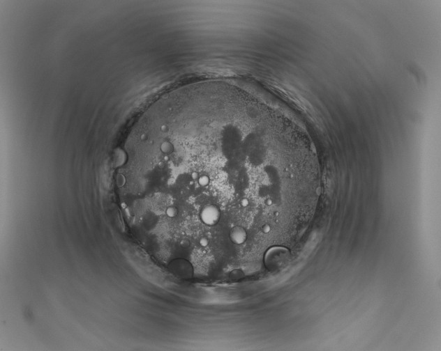 X0000111830359200907231321