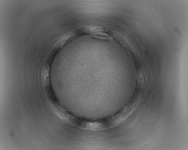 X0000111830360200907231321