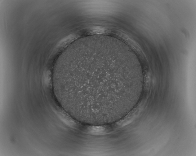 X0000111830361200907231321