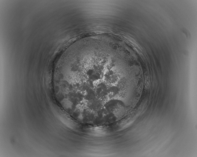 X0000111830365200907231321